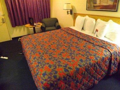 Hotel Red Roof Plus+ - Forest Park / Hampton Ave. 3*